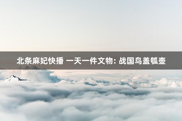 北条麻妃快播 一天一件文物: 战国鸟盖瓠壶
