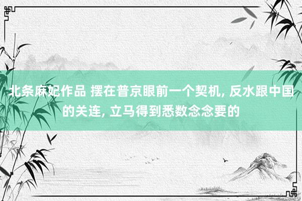 北条麻妃作品 摆在普京眼前一个契机， 反水跟中国的关连， 立马得到悉数念念要的