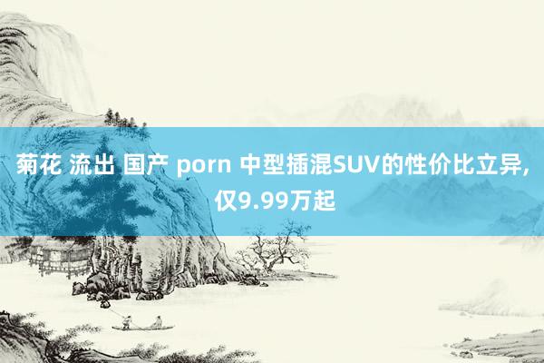 菊花 流出 国产 porn 中型插混SUV的性价比立异， 仅9.99万起