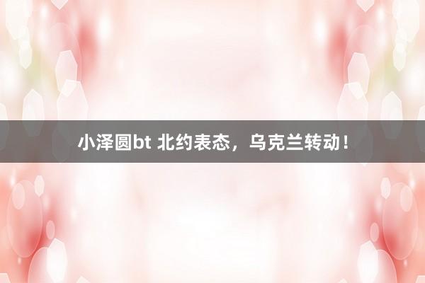 小泽圆bt 北约表态，乌克兰转动！