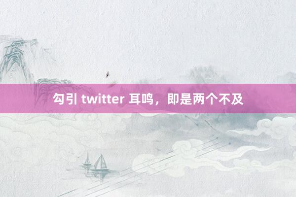 勾引 twitter 耳鸣,即是两个不及