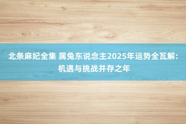 北条麻妃全集 属兔东说念主2025年运势全瓦解: 机遇与挑战并存之年