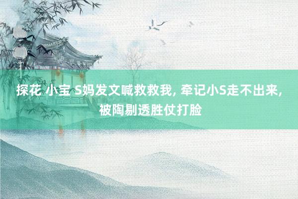 探花 小宝 S妈发文喊救救我， 牵记小S走不出来， 被陶剔透胜仗打脸
